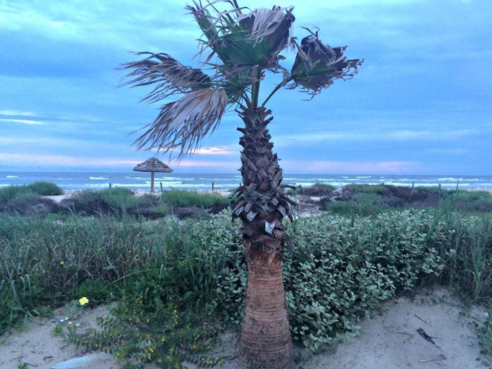 Unobstructed Oceanfront Seagull Unit 3 Beach Pad! Villa Surfside Beach Exterior foto